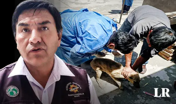 Rabia humana: ¿cómo prevenir este virus? Esto dicen los especialistas