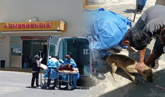 Rabia humana: ¿se puede contagiar de persona a persona y cómo avanza el virus?, esto dicen los especialistas