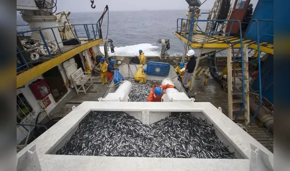 Produce autoriza el inicio de la segunda temporada de pesca de anchoveta