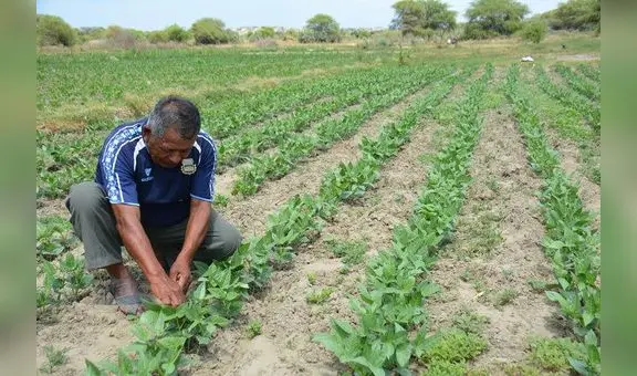 Agricultores preocupados por la seguridad hídrica en reservorios de región Piura