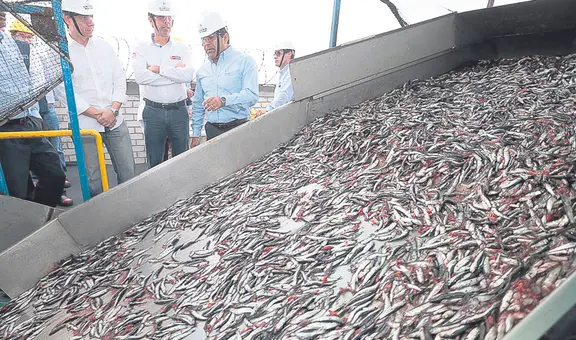 Produce autoriza segunda temporada de pesca en plena captura exploratoria