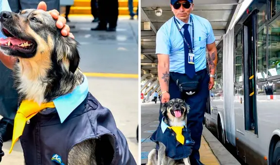 La historia de Bello, el chofer canino que conquista corazones en la estación Naranjal del Metropolitano