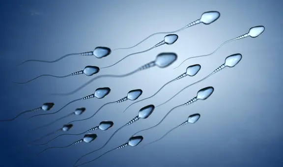 Estudio revela que los espermatozoides violan la tercera ley de Newton