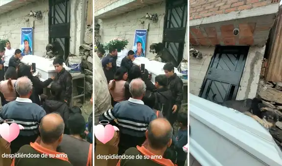 Perrito hace llorar a miles al despedirse de su amo en su funeral: “El verdadero amigo fiel”