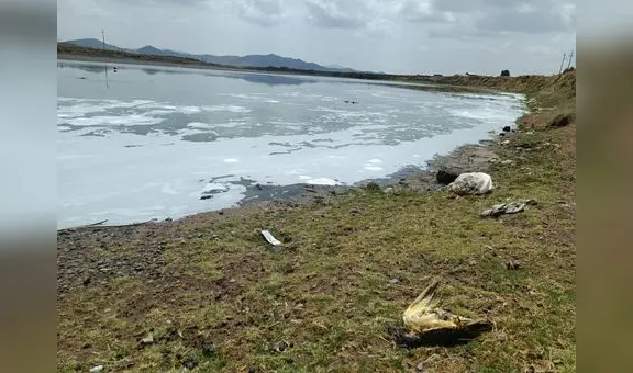 Puno: aguas negras de Juliaca no serán vertidas a río Coata