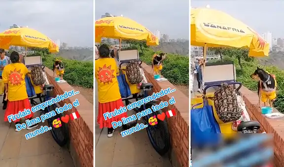 Perrito heladero acompaña a vender a su dueña en el malecón de MIRAFLORES: “Firulais emprendedor”