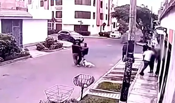 ¿Nueva modalidad? Hombre se hace pasar como paseador de perro y roba celular en Surco