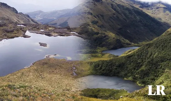 Los páramos de Piura, la clave para evitar inundaciones por el Fenómeno El Niño