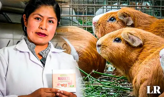 Nuggets de cuy con alpaca: una alternativa saludable, versátil y sin aditivos creada en Ayacucho