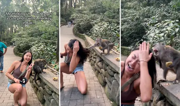 Joven se acerca a mono para tomarse una foto mientras comía, este enfurece y todo termina mal