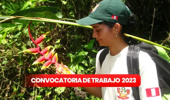 Sernanp abre convocatoria de trabajo para personas con primaria completa: ¡sueldos desde S/1.400!