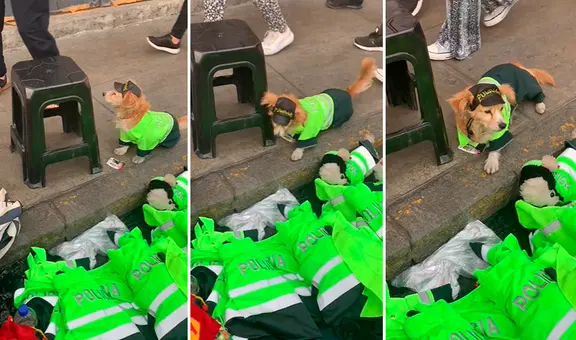 Perro vestido de Policía sorprende al ‘vender’ ropa para mascotas en el centro de Lima: “Mi primera chamba”