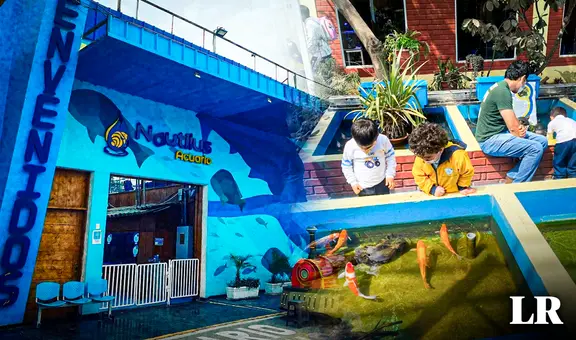 Nautilus: ¿dónde está ubicado el acuario más grande del Perú y cuánto cuesta el ingreso?