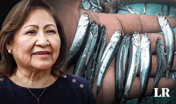 Produce: No se modificará talla mínima de anchoveta ni se aumentará cuota de pesca