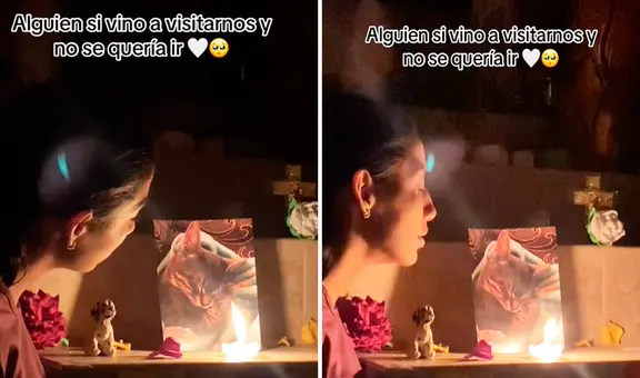 Instala un altar a su gato por el Día de los Muertos, pero queda pasmada por insólita experiencia