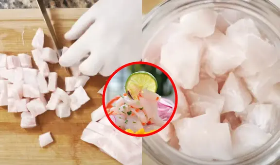 Chef peruano revela cuáles son los mejores pescados para preparar CEVICHE y genera debate: ¿y el lenguado?