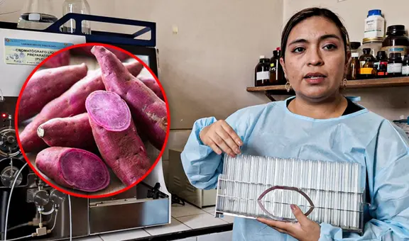 Científica liberteña descubre que tubérculo desacelera crecimiento de tumores cancerígenos: ¿cuál es?