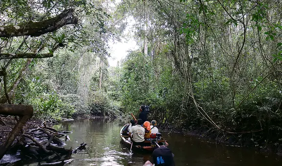 Rioja, Lamas y Sauce: destinos de conservación y meditación