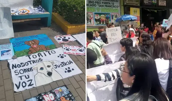 Justicia para Torito: decenas de ciudadanos protestan en defensa de perrito ultrajado en VMT