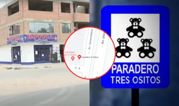 Paradero Tres Ositos: ¿por qué se llama así esta peculiar parada del distrito de Comas?