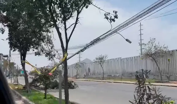 Vecinos de SJL denuncian caos vehicular por insólito derrumbe de poste en plena avenida