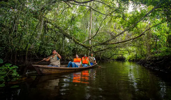 Extraño animal fue descubierto en la selva de Perú: parece una rata gigante y solo fue visto una vez