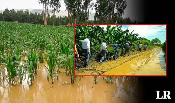 ¿Cuál sería el impacto del fenómeno El Niño en la región Piura?
