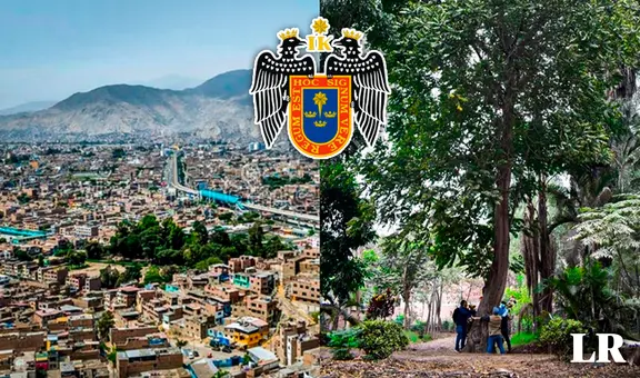 ¿Sabías que hay un bosque en San Juan de Lurigancho? Conoce la dramática historia de Caja de Agua