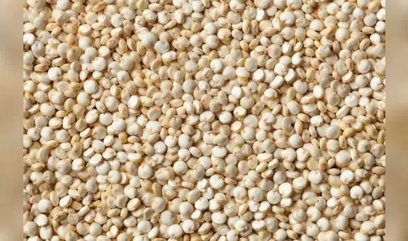 Unión Europea detecta ácido fosfónico en quinua orgánica peruana