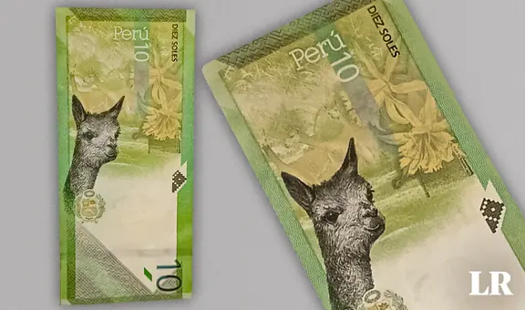 ¿Cuál es la inusual flor que crece en San Juan de Lurigancho y aparece en billete coleccionable de S/10?