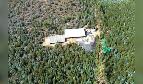 Bosque ocultaba socavones de minería ilegal en La Libertad