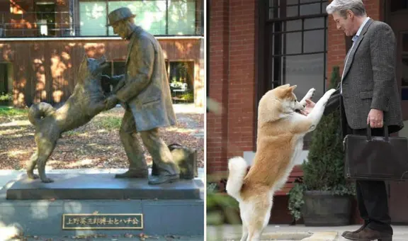Hachiko: 100 años esperando en la estación, la conmovedora historia de fidelidad de un perro