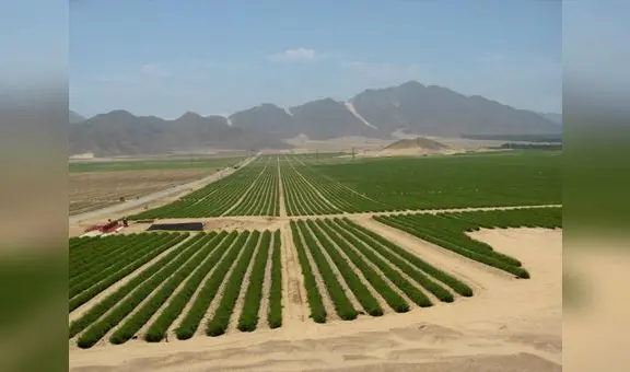 MEF: Canadá y Países Bajos han mostrado interés en ejecución de Chavimochic III