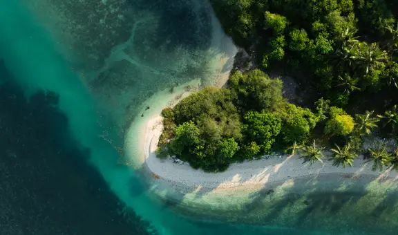 Así era Clymene, el océano que aislaba a la Amazonía del resto de Sudamérica