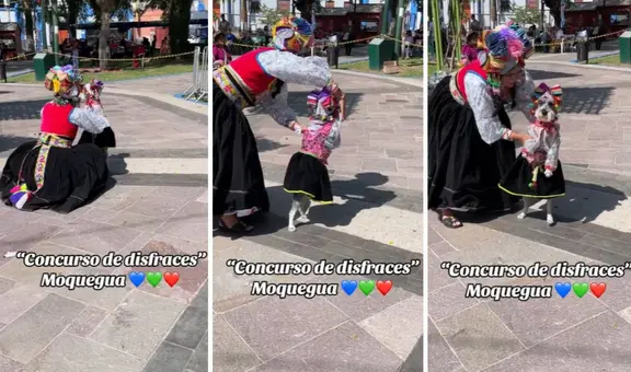 Perrita se luce al usar traje típico de Moquegua en concurso de disfraces: “Orgullosa de ser peruana”