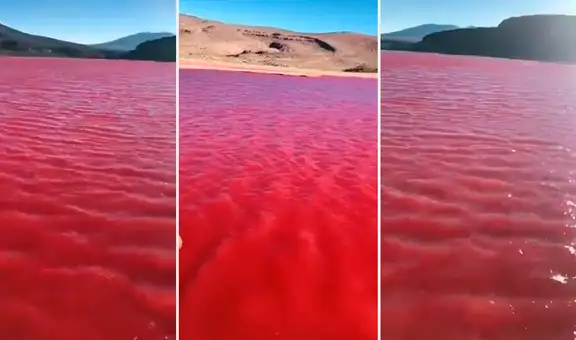 Río Nilo amaneció de color carmesí y causó desconcierto en redes: ¿profecía bíblica?