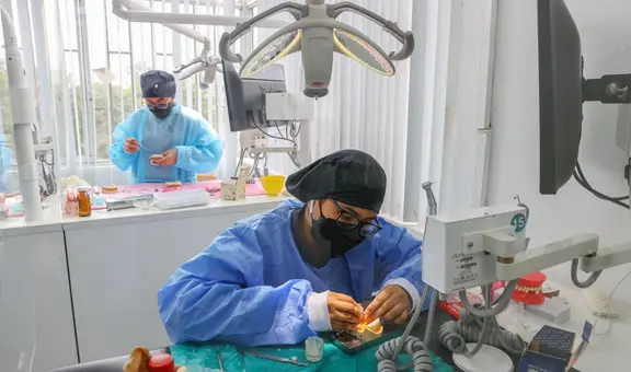 Admisión San Marcos 2024: conoce cuáles son las 12 carreras en Ciencias de la Salud