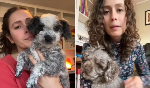 Abogada deja su carrera para ser psíquica de mascotas y sorprende al revelar sus ganancias