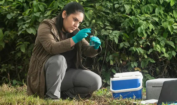 ¿Cuánto gana un ingeniero ambiental en el sector público? Este es el sueldo promedio