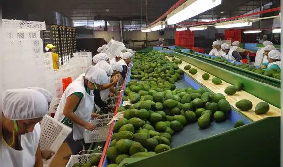 Desempleo aumenta en Trujillo y afecta más a mujeres