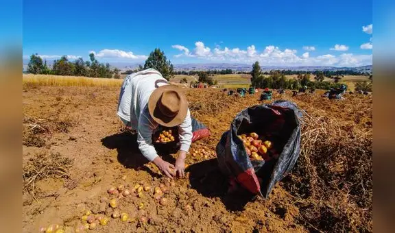 Productores agropecuarios demandan la creación de Reactiva Agrícola para afrontar la crisis