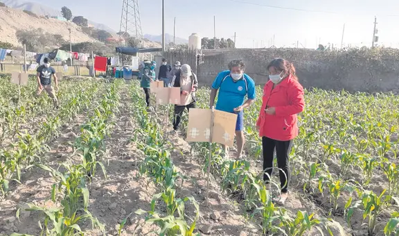 Propuestas focalizadas para reactivar la agricultura familiar