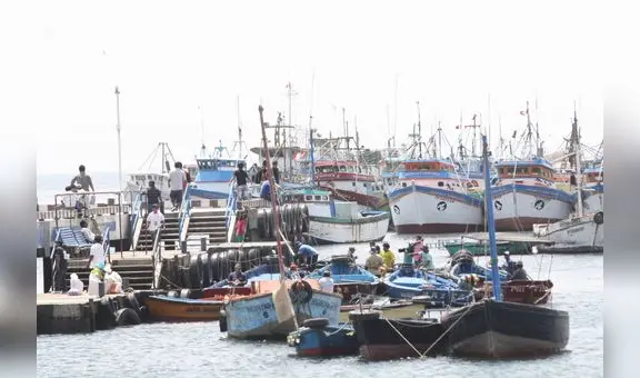 Pescadores de anchoveta en crisis solicitan ayuda en Piura