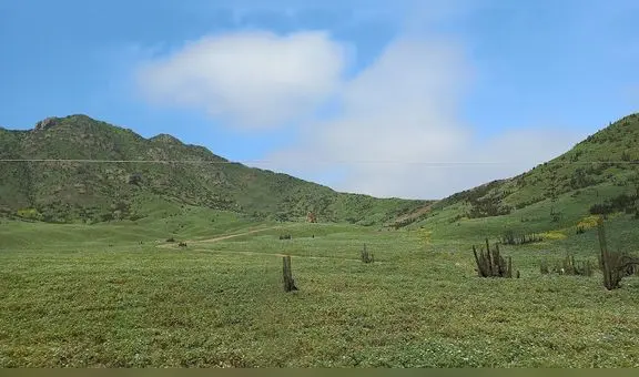 ¡'Lomas de los Teletubbies' GRATIS! ¿a cuántas horas de Lima quedan y cómo llegar?