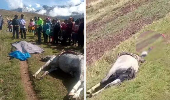 Pareja de esposos y su caballo mueren tras ser impactados por un rayo en Áncash