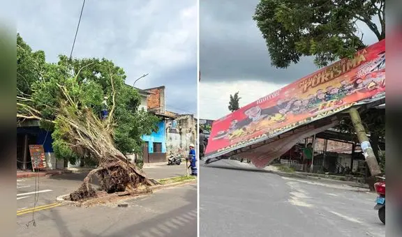 Fuertes vientos destruyen casas y provocan caída de árboles en Loreto