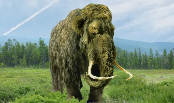 Una empresa de científicos busca resucitar al mamut lanudo en América para 2028
