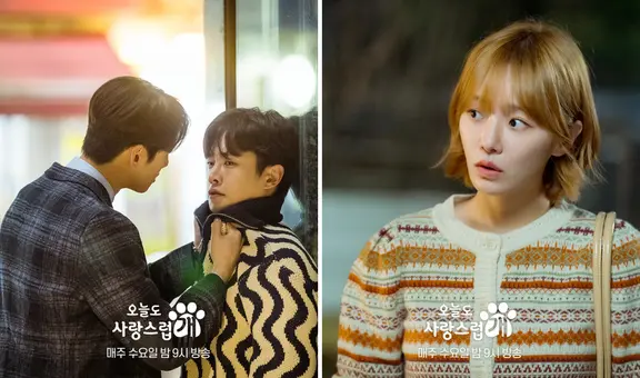 'A Good Day to be a Dog' capítulo 7 sub español: horario y dónde ver ONLINE el k-drama de Eunwoo