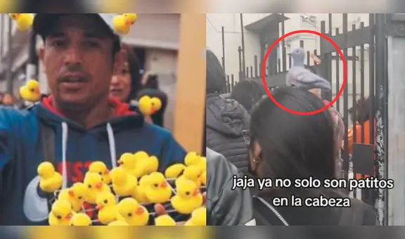 ¿Los patitos kawaii pasaron de moda? Captan a mujer con una ‘paloma’ en la cabeza: “Es la evolución”