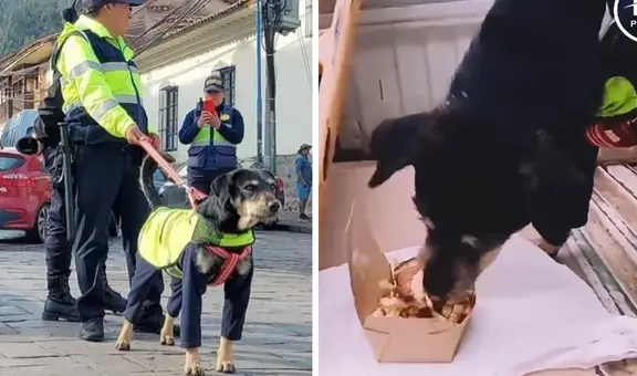 ‘Perrenazgo’ Bigotes recibió un pollo a la brasa como premio tras cuidar calles de Cusco: "Insobornable"